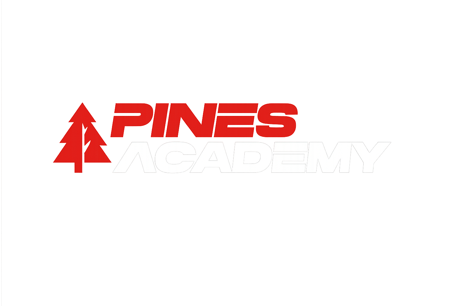 Pines Badminton Academy